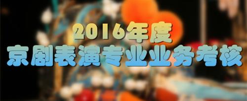 WWW.17C.CON国家京剧院2016年度京剧表演专业业务考...